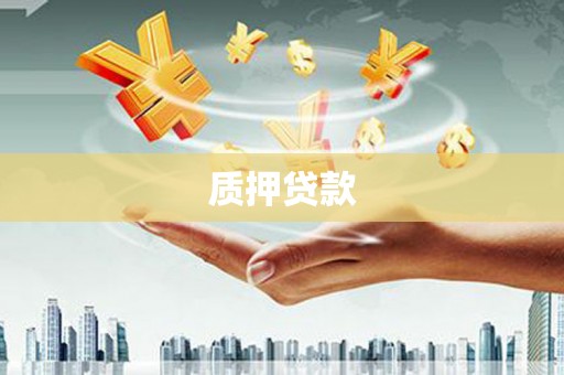 和平质押贷款