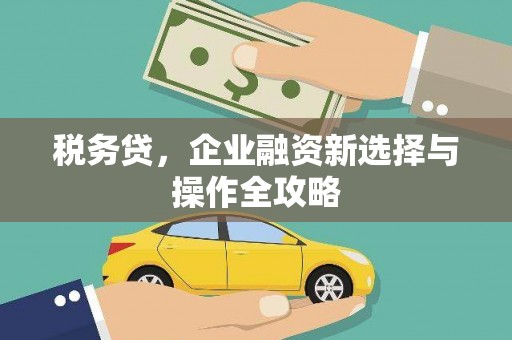 和平税务贷，企业融资新选择与操作全攻略