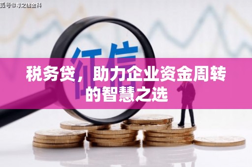 和平税务贷，助力企业资金周转的智慧之选
