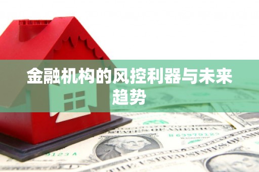 和平金融机构的风控利器与未来趋势