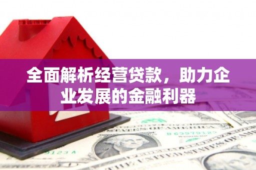 和平全面解析经营贷款，助力企业发展的金融利器