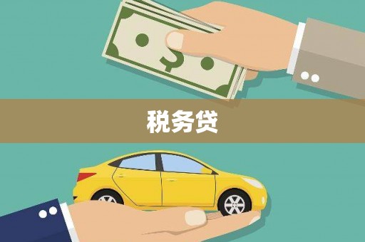和平税务贷