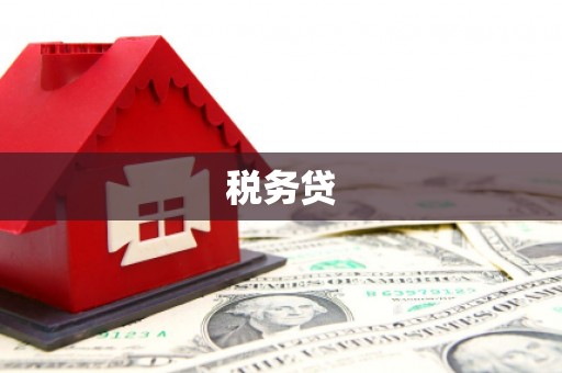 和平税务贷