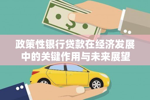和平政策性银行贷款在经济发展中的关键作用与未来展望