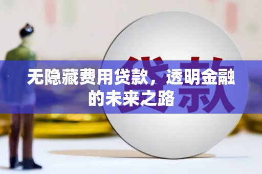 和平无隐藏费用贷款，透明金融的未来之路