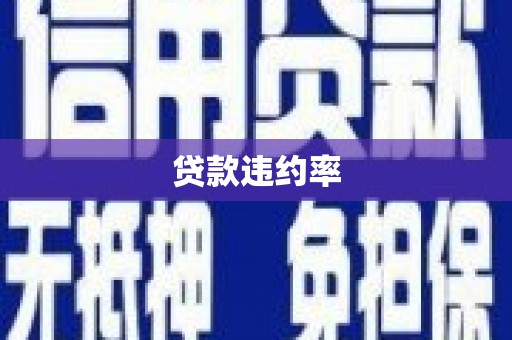 和平贷款违约率