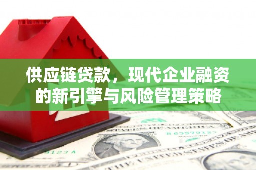 和平供应链贷款，现代企业融资的新引擎与风险管理策略