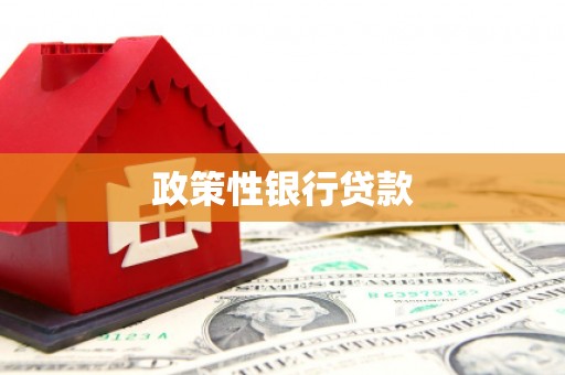 和平政策性银行贷款