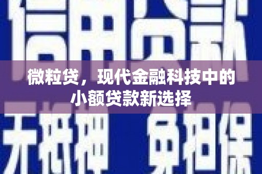 和平微粒贷，现代金融科技中的小额贷款新选择