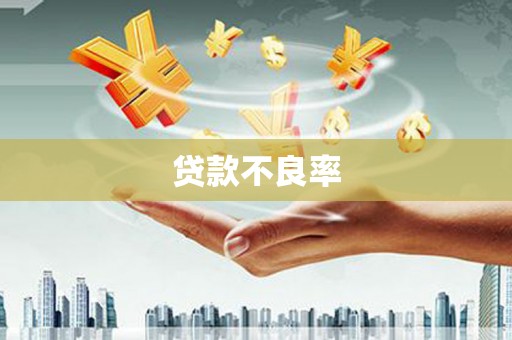 和平贷款不良率