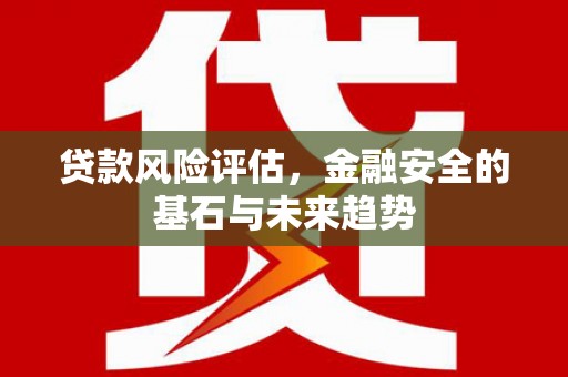 和平贷款风险评估，金融安全的基石与未来趋势