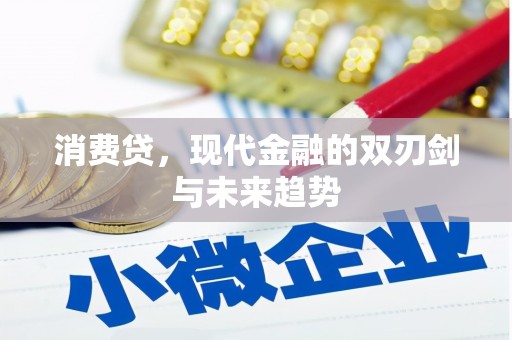 和平消费贷，现代金融的双刃剑与未来趋势