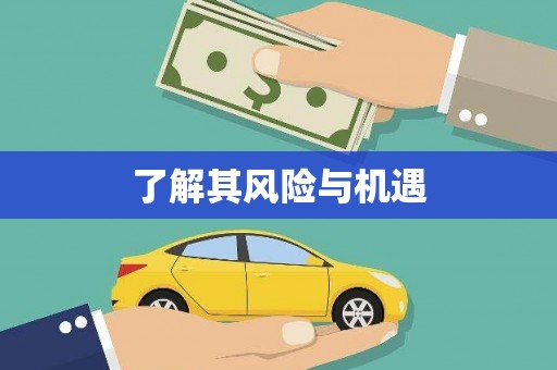 和平了解其风险与机遇