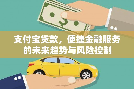 和平支付宝贷款，便捷金融服务的未来趋势与风险控制