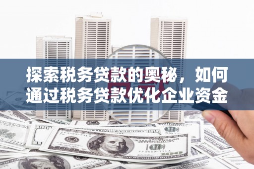 和平探索税务贷款的奥秘，如何通过税务贷款优化企业资金流