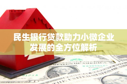 和平民生银行贷款助力小微企业发展的全方位解析