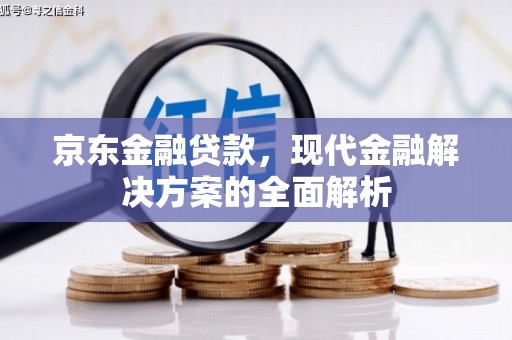 和平京东金融贷款，现代金融解决方案的全面解析