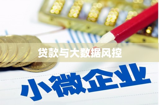 和平贷款与大数据风控