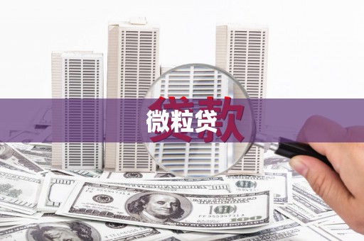 和平微粒贷