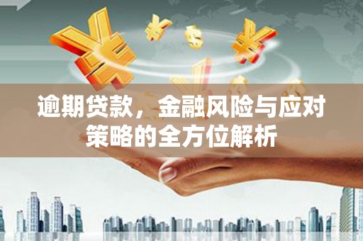 和平逾期贷款，金融风险与应对策略的全方位解析