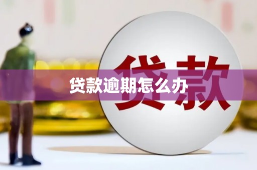 和平贷款逾期怎么办