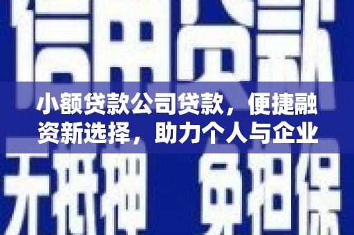 和平小额贷款公司贷款，便捷融资新选择，助力个人与企业成长