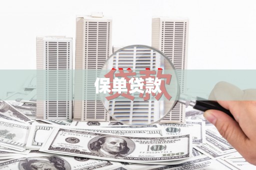 和平保单贷款