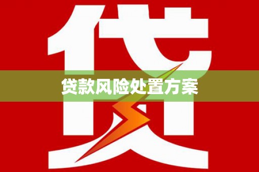 和平贷款风险处置方案