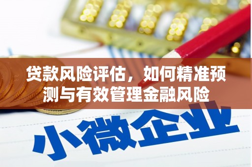 和平贷款风险评估，如何精准预测与有效管理金融风险