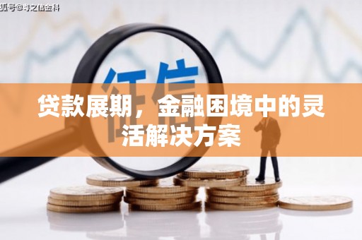 和平贷款展期，金融困境中的灵活解决方案