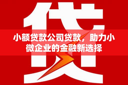 和平小额贷款公司贷款，助力小微企业的金融新选择
