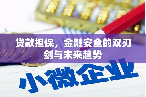 和平贷款担保，金融安全的双刃剑与未来趋势