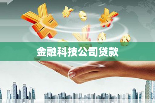 和平金融科技公司贷款