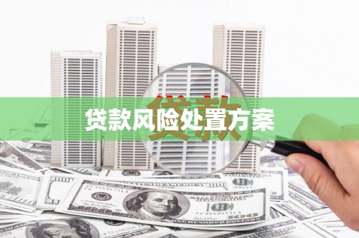 和平贷款风险处置方案