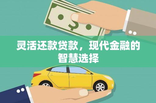 和平灵活还款贷款，现代金融的智慧选择