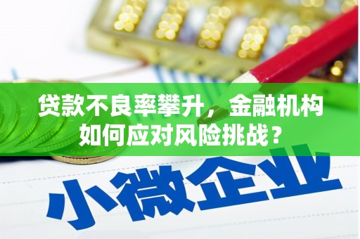 和平贷款不良率攀升，金融机构如何应对风险挑战？