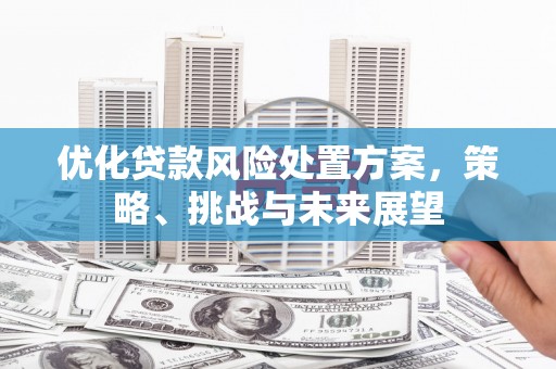 和平优化贷款风险处置方案，策略、挑战与未来展望