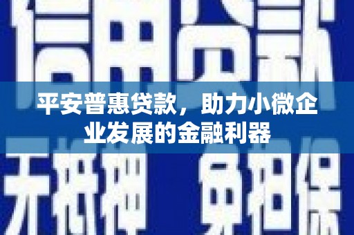 和平平安普惠贷款，助力小微企业发展的金融利器