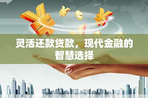 和平灵活还款贷款，现代金融的智慧选择