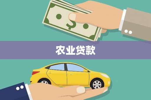和平农业贷款