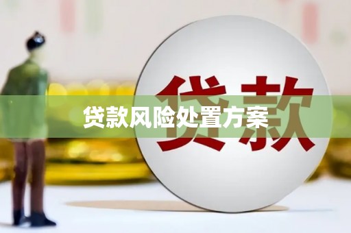和平贷款风险处置方案