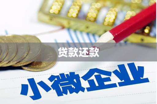 和平贷款还款