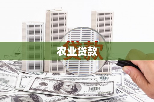 和平农业贷款