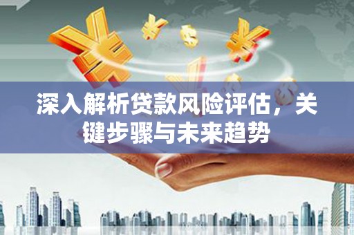 和平深入解析贷款风险评估，关键步骤与未来趋势