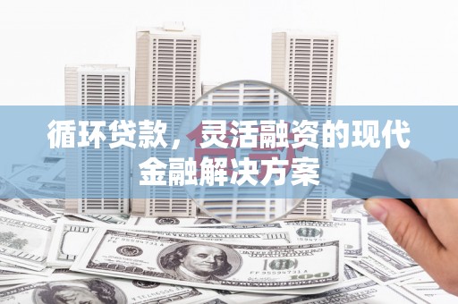 和平循环贷款，灵活融资的现代金融解决方案