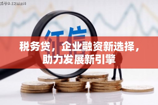和平税务贷，企业融资新选择，助力发展新引擎