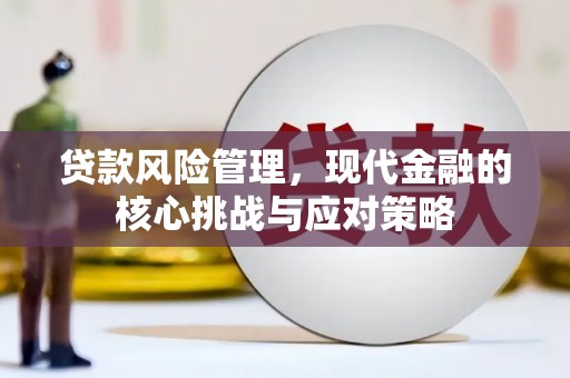 和平贷款风险管理，现代金融的核心挑战与应对策略