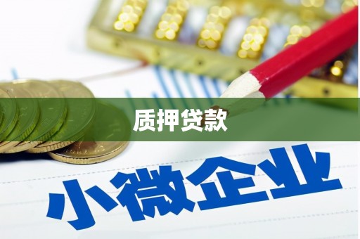 和平质押贷款