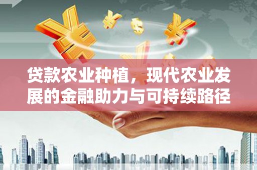 和平贷款农业种植，现代农业发展的金融助力与可持续路径