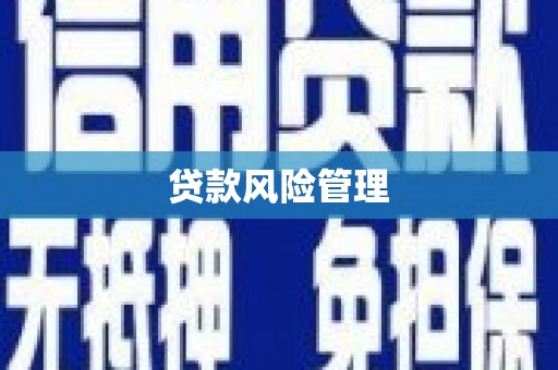 和平贷款风险管理